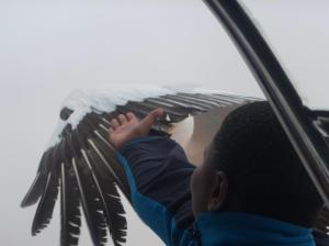 Walvisbay