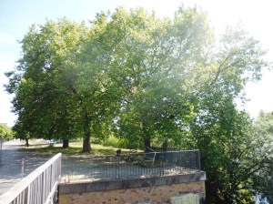 Alls sonnig, alles schön...