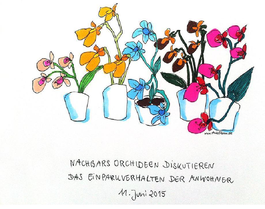 OWL 120615 Orchideen