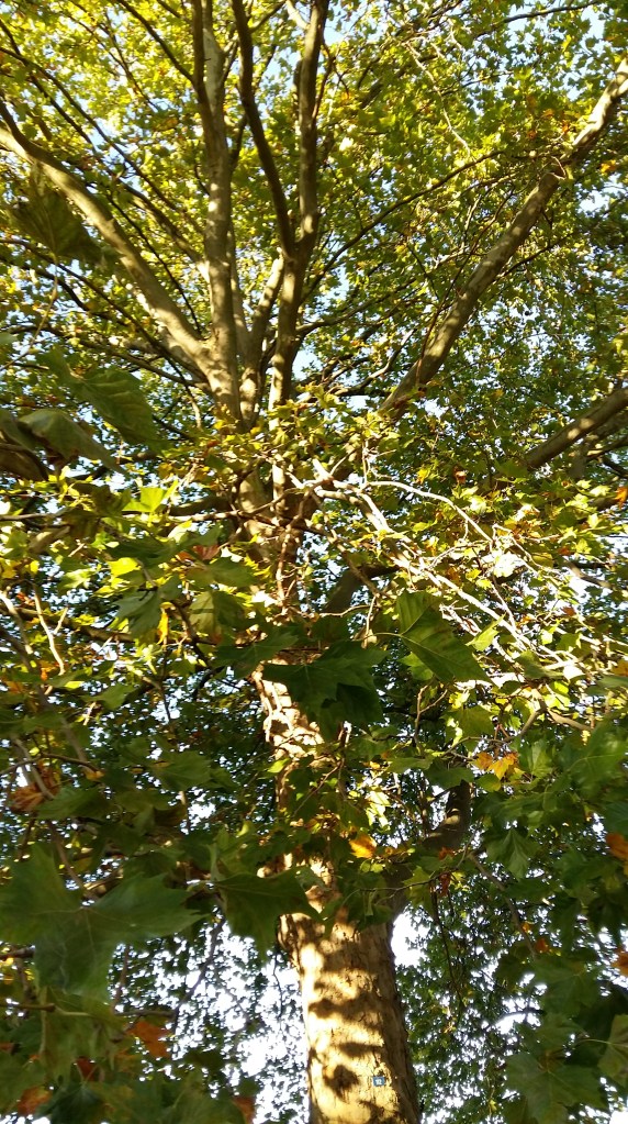 2015September29_pluszwei