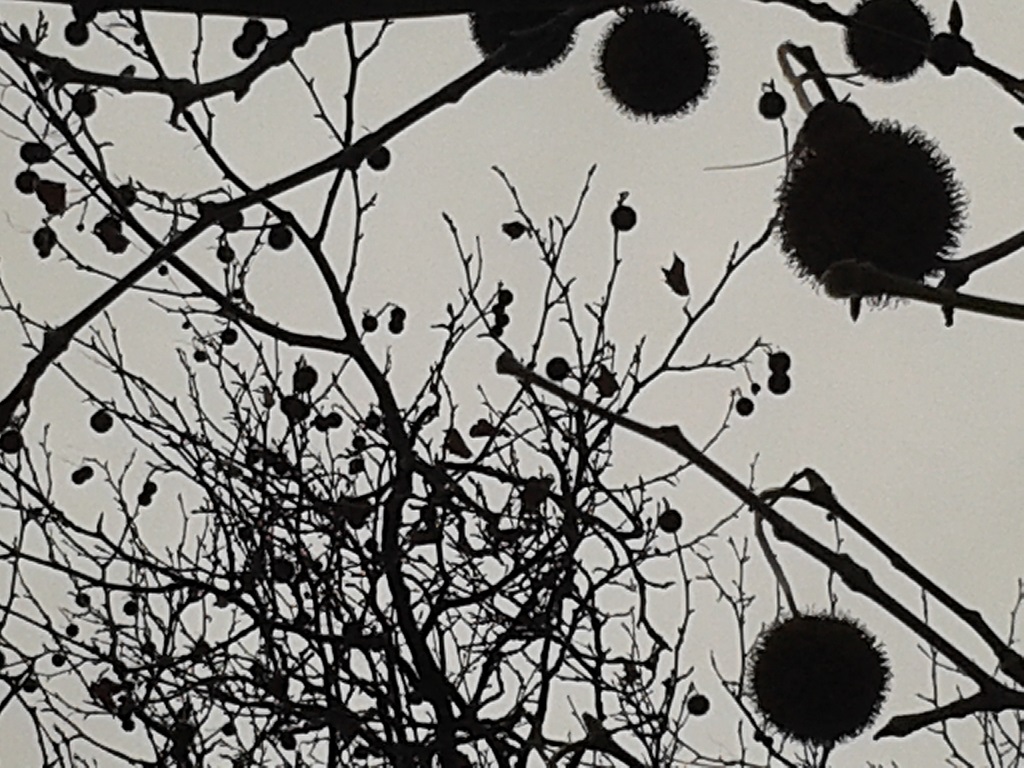 2015November29_Kugeln_