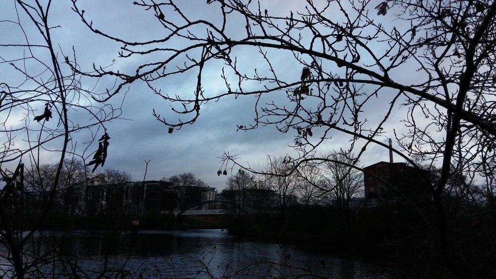 2015_Dez 14 Bäume gegenüber