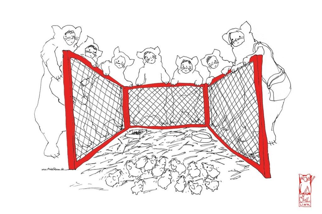 Guinea Pigs OWL Nummer 38