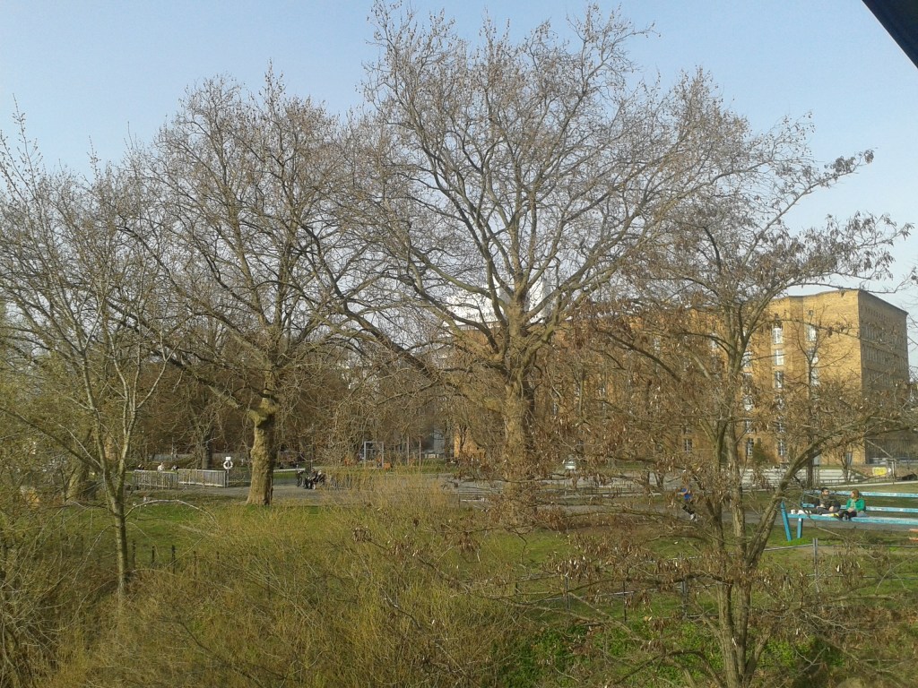 2016_April_ 2  Bäume 5