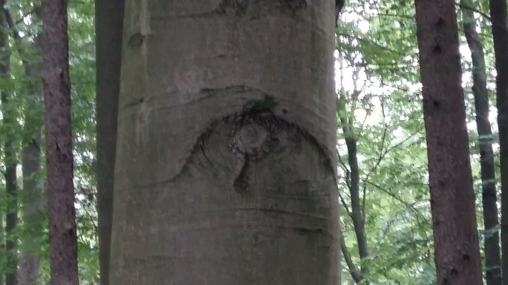 Dragonhunt in a Fullmoon&nbsp;Night