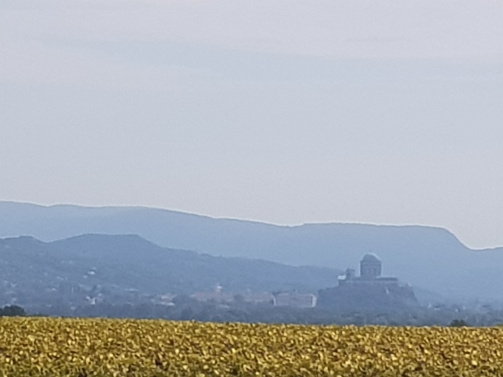 Southbound Sickboy …. Back in the&nbsp;Heat