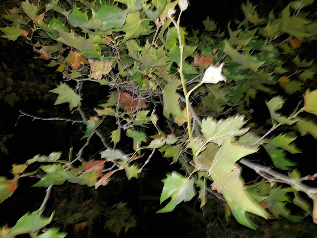 October – Dark Times Lie Ahead of&nbsp;Us