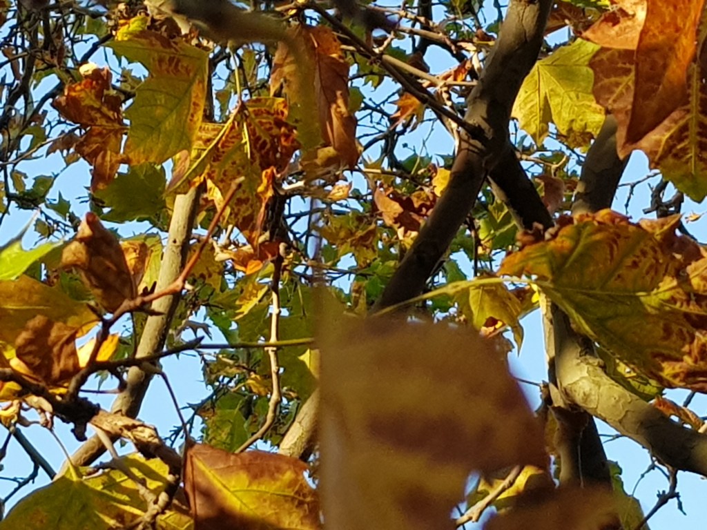 Summer Returned to the&nbsp;River