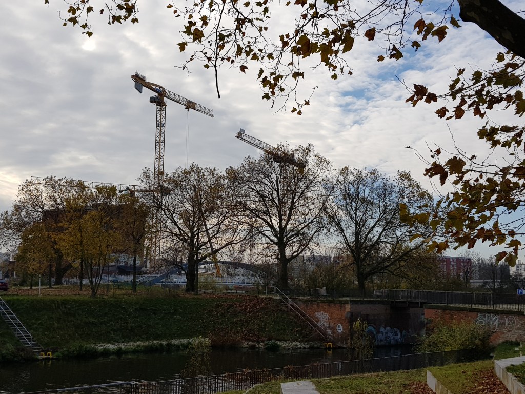 Four Trees at the River – Sunny&nbsp;November