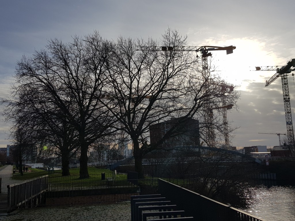 Four Trees at the River … First Sunny Day in&nbsp;Ages