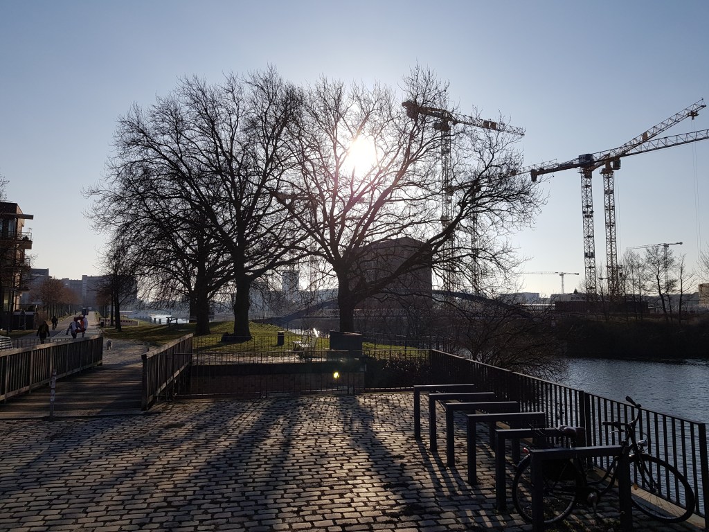 Four Trees at the River … Ice cold Sunny&nbsp;Winterday