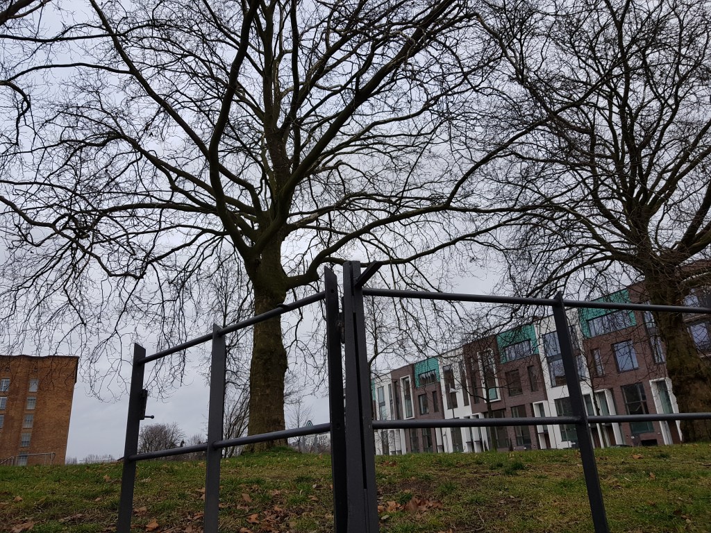 Trees by the River … 60 Days all&nbsp;Grey