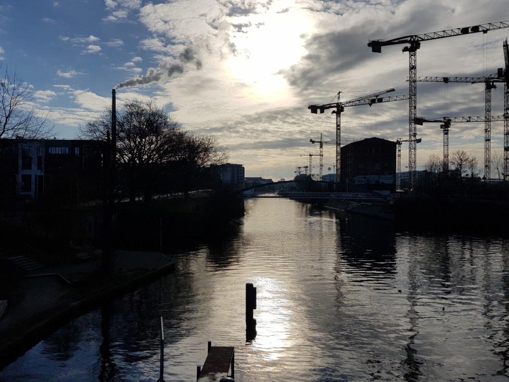 Four Trees at the River … Golden Rays of&nbsp;Sunlight