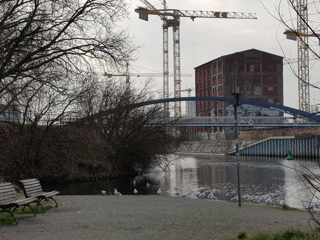Vier Bäume am Fluss … langsam langsam riecht es nach&nbsp;Frühling