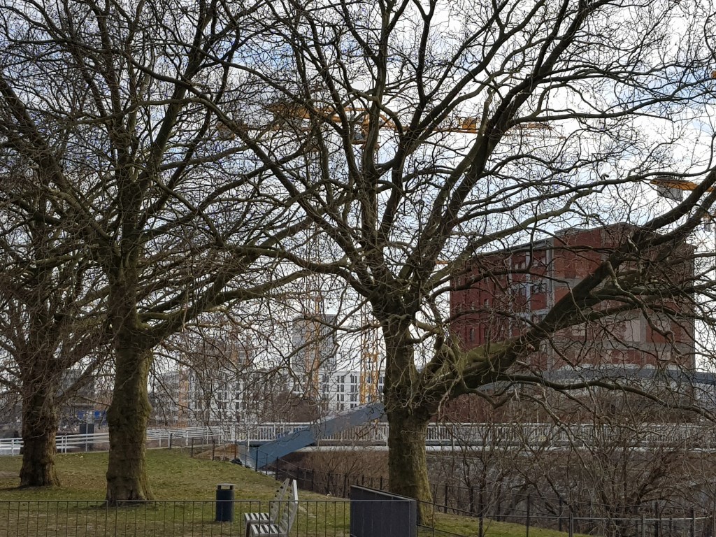 Vier Baume am Fluss … Minus 10&nbsp;Grad