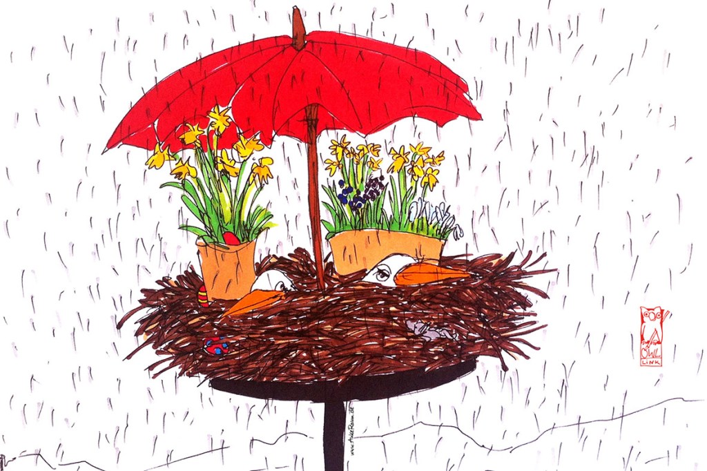 Waiting for Frog /&nbsp;พร้อมและรอ