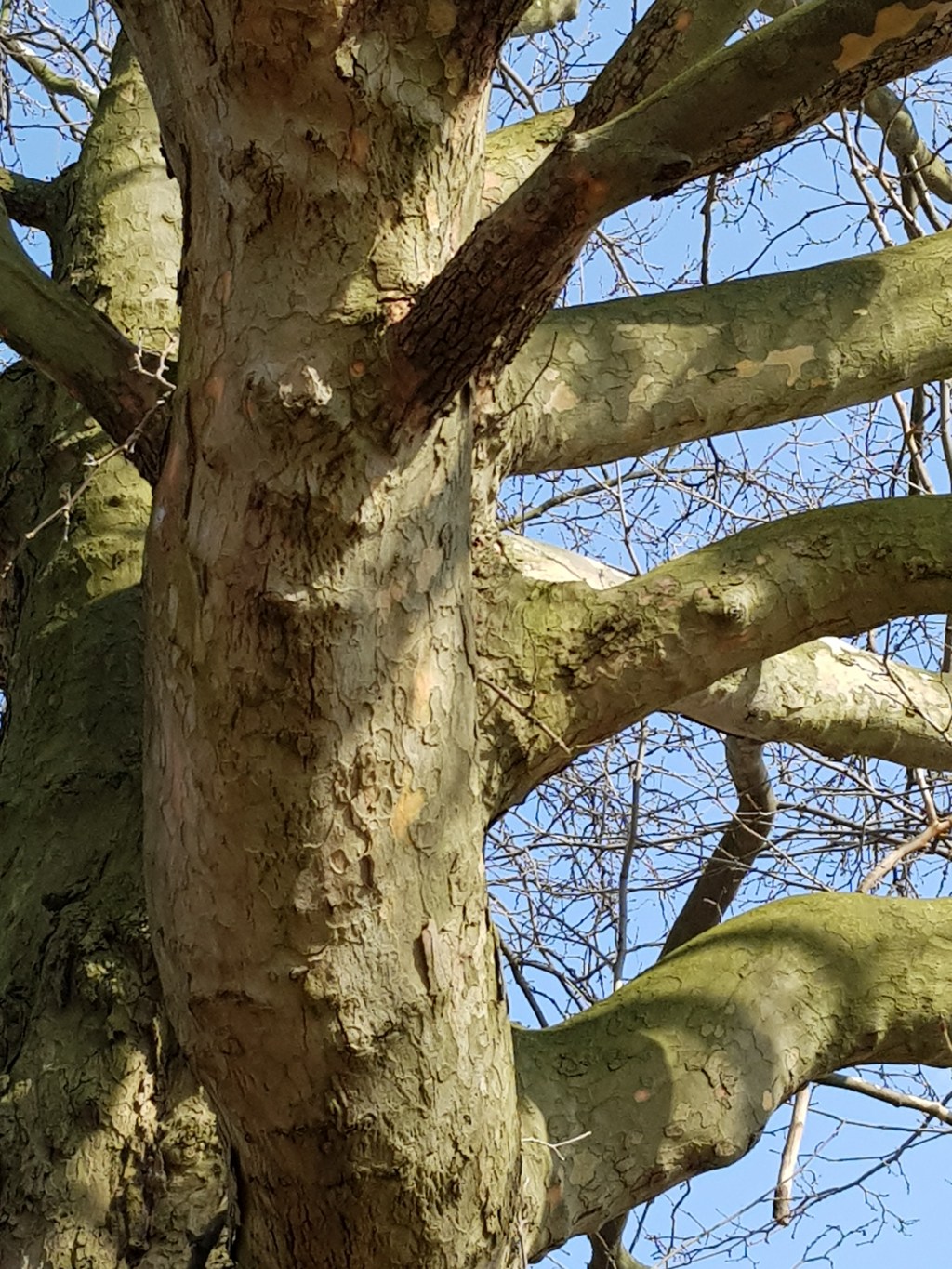 Vier Bäume am Fluss … Easter&nbsp;Weekend