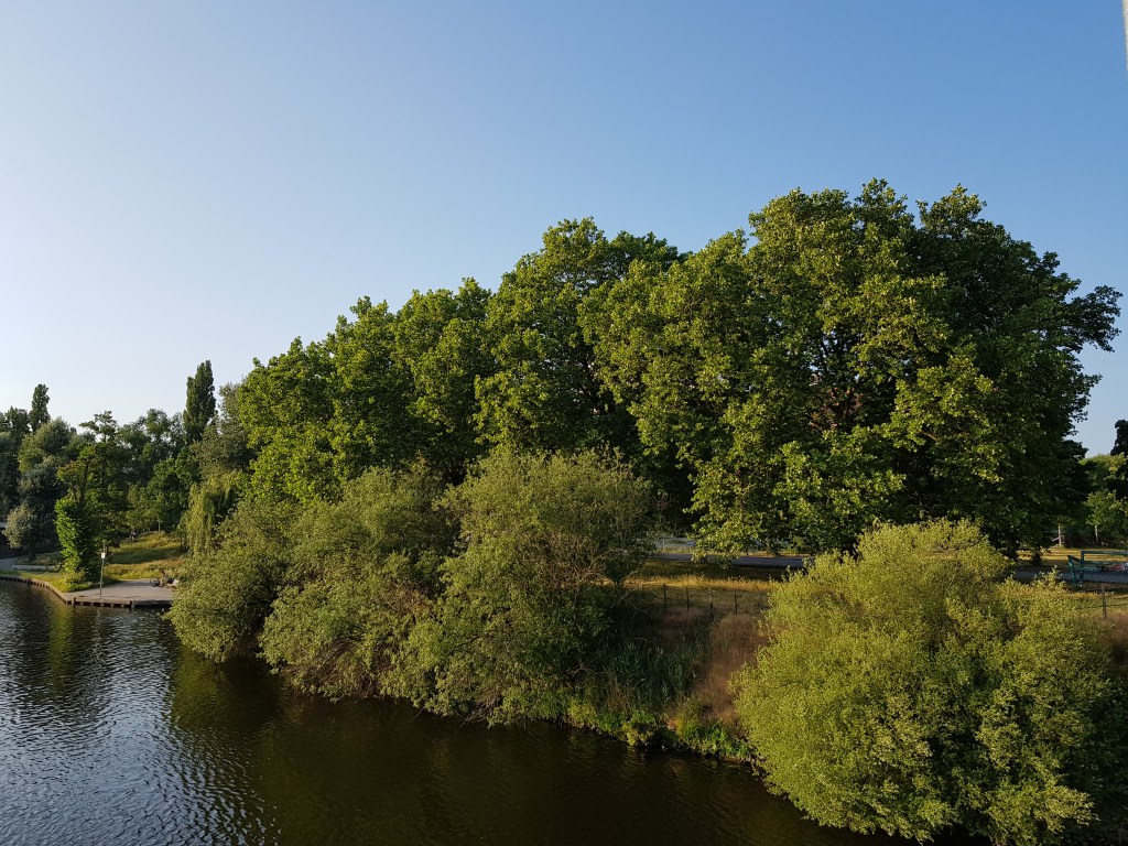 Four Trees by the River … Hot&nbsp;June