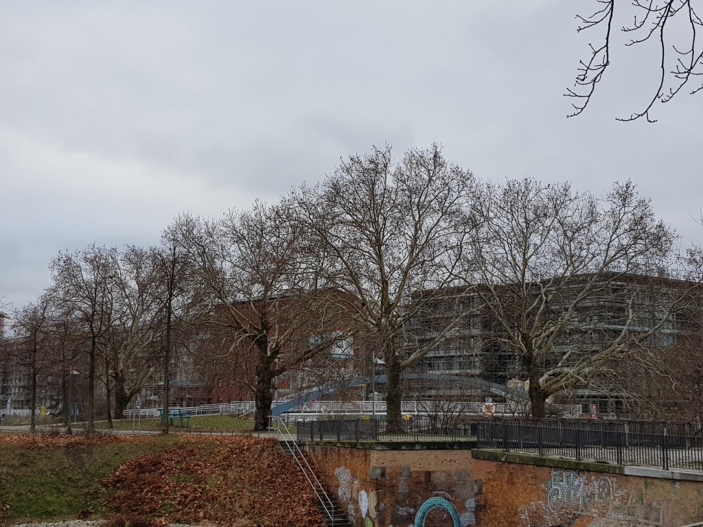 Four Trees by the River … Christmas&nbsp;Trees