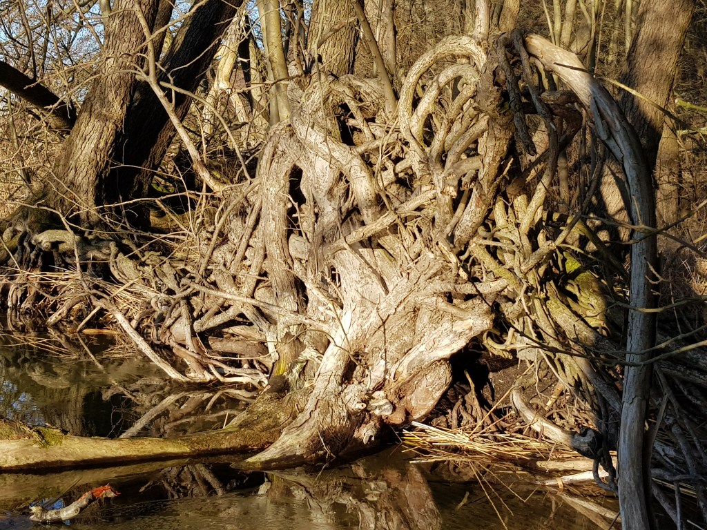 ♫♪♫ Reisen & Freunde 360°-Video: Tiefster See Polens&nbsp;…