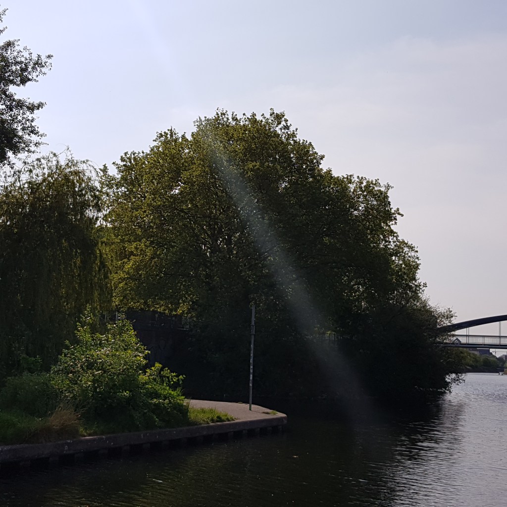 ♪♫♪♪ 4 BÄUME AM FLUSS: Sunday Bells in the&nbsp;Distance