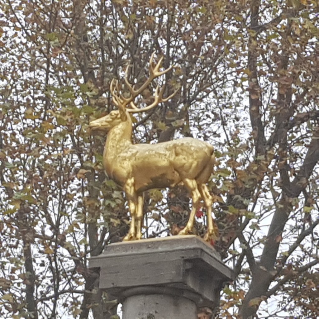 360°-Video: First Friday of Second Berlin Covid-19-Lockdown