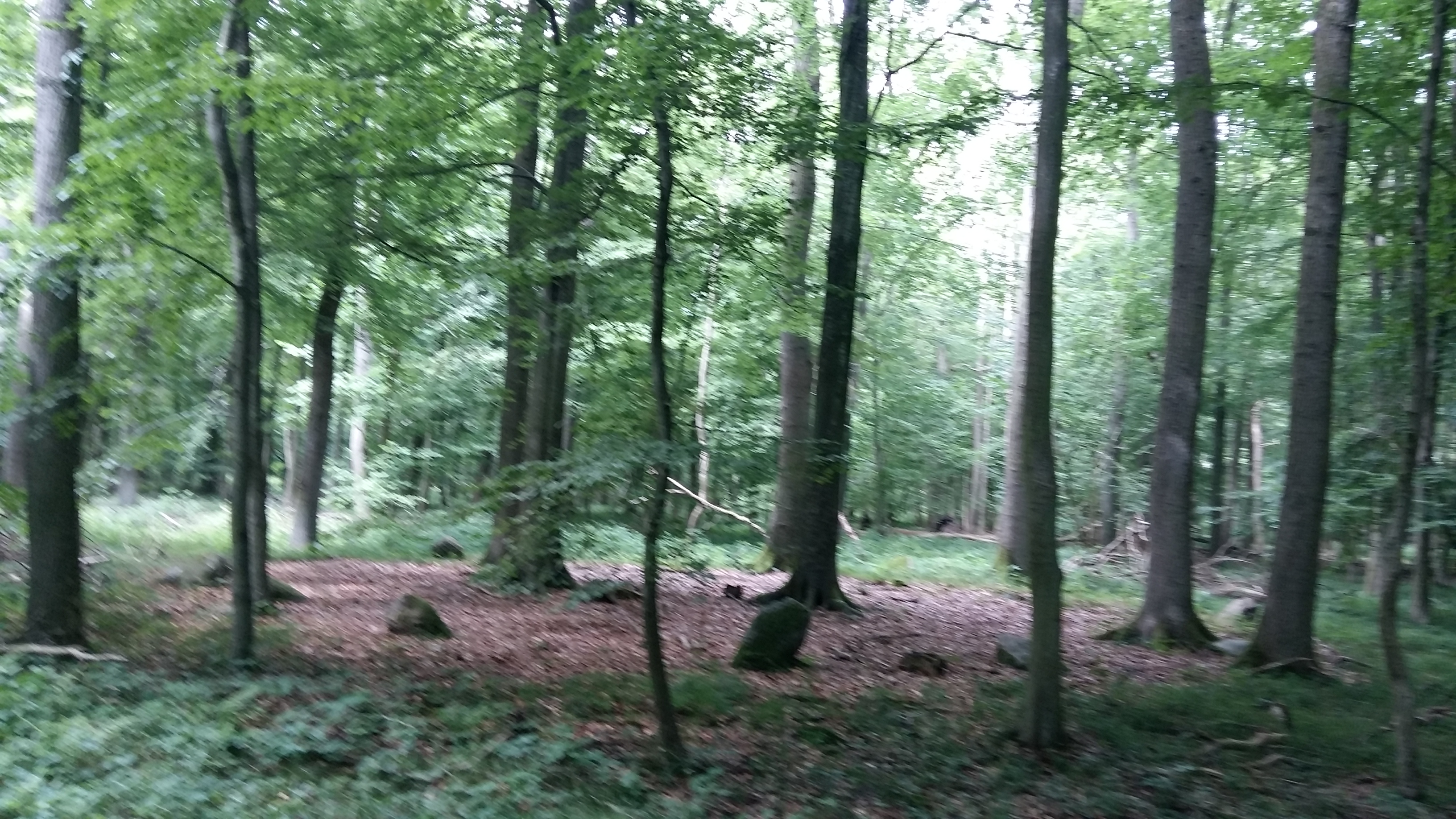 12 Apostel Stone Circle