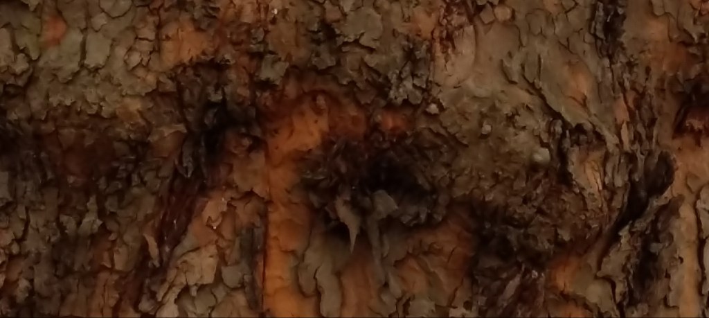 柏林 9*9 – 6. Volti Negli&nbsp;Alberi