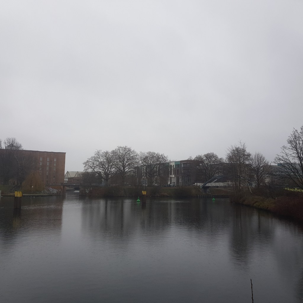 ♪♫♪♪ Four Trees at the River … Rain Rain Rain for 24&nbsp;Days