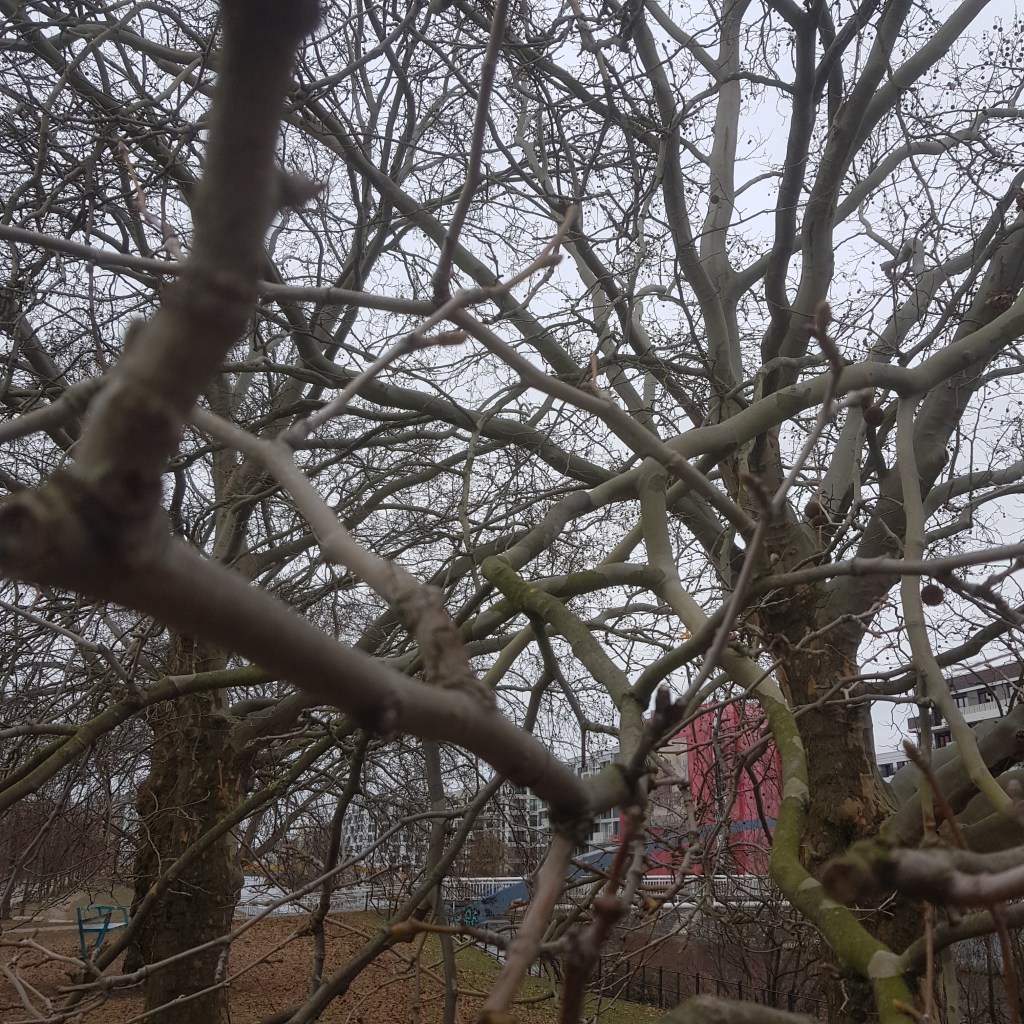 ♪♫♪♪ BÄUME AM FLUSS:&nbsp;Langeweilermärz