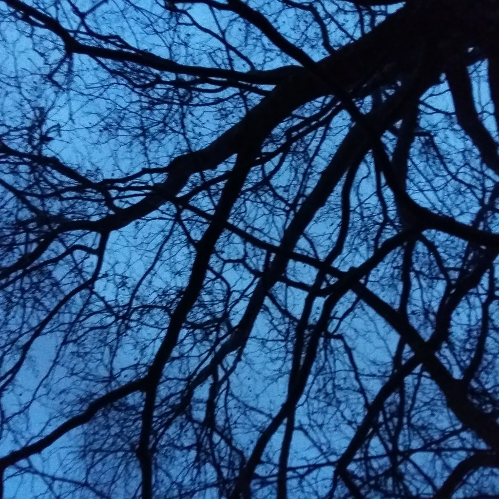 ♪♫♪♪ BÄUME AM FLUSS: Rain All Day Rain&nbsp;Rain