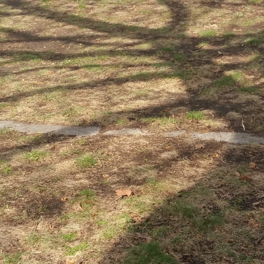 ♪♫♪♪ BÄUME AM FLUSS: Sonntag im&nbsp;Frühling