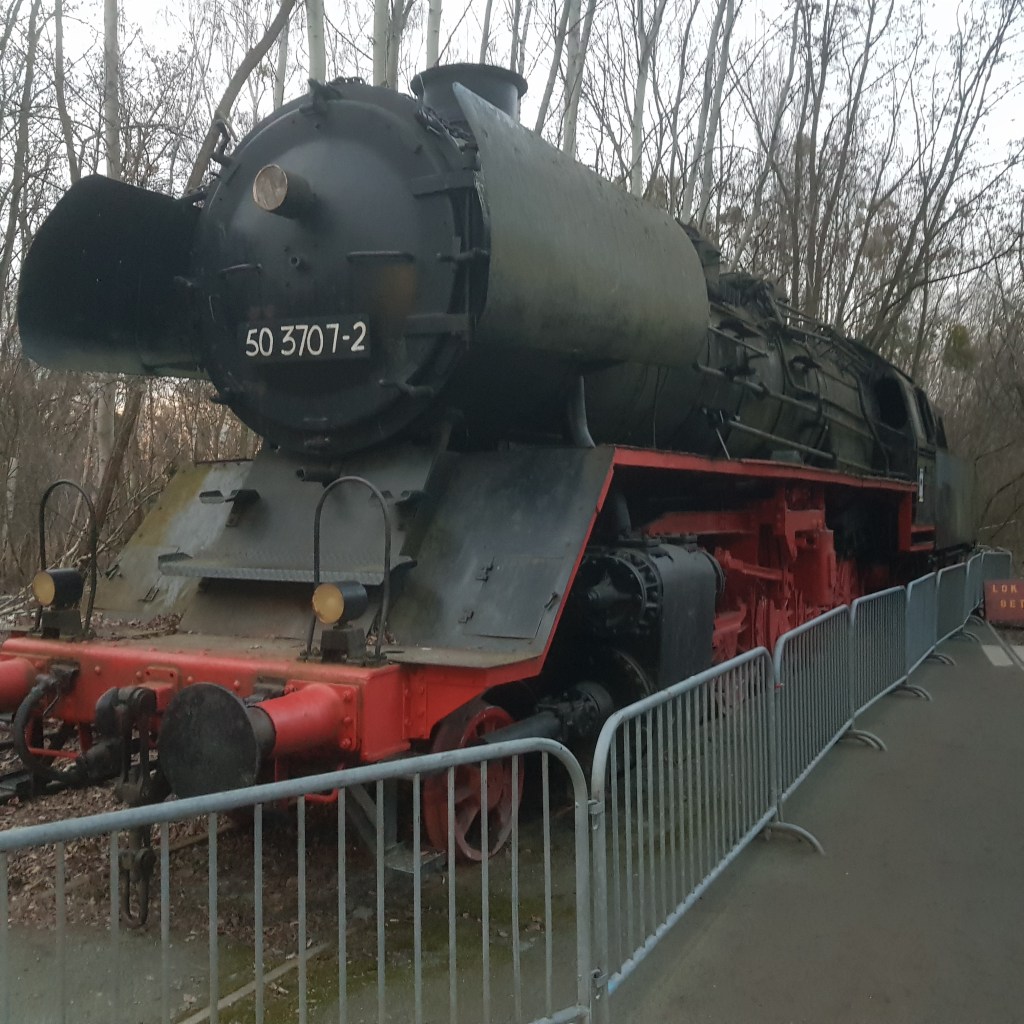 360° Video: Berliner Natur-Park&nbsp;Südgelände