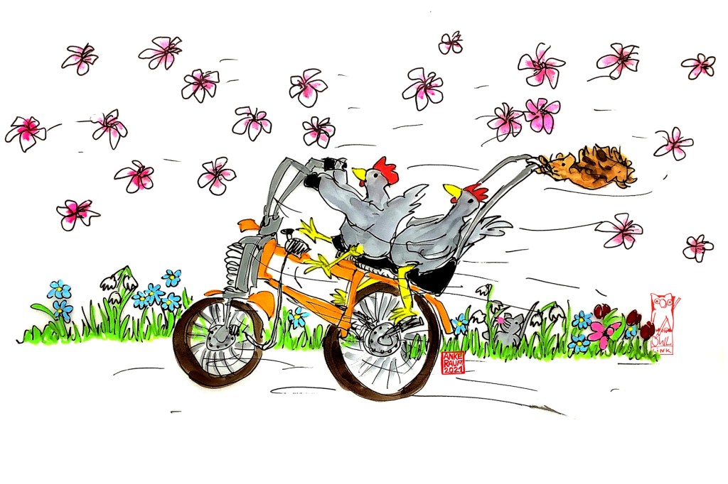 Ostwestfälischer Bilderbogen: Hellraiser Chicken auf dem&nbsp;Bonanzarad