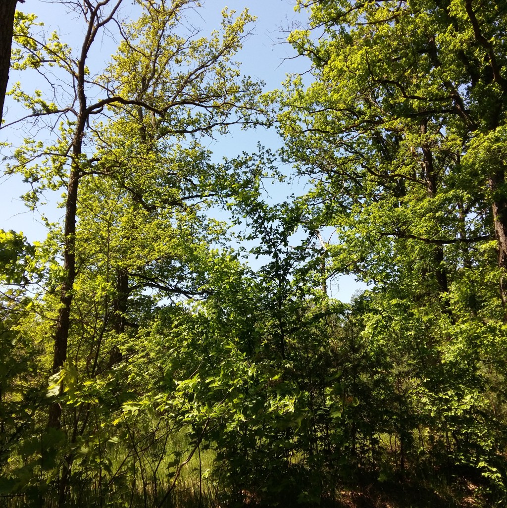 柏林 … 柏林 9*9+9 – 9.7 Porta all’infinito