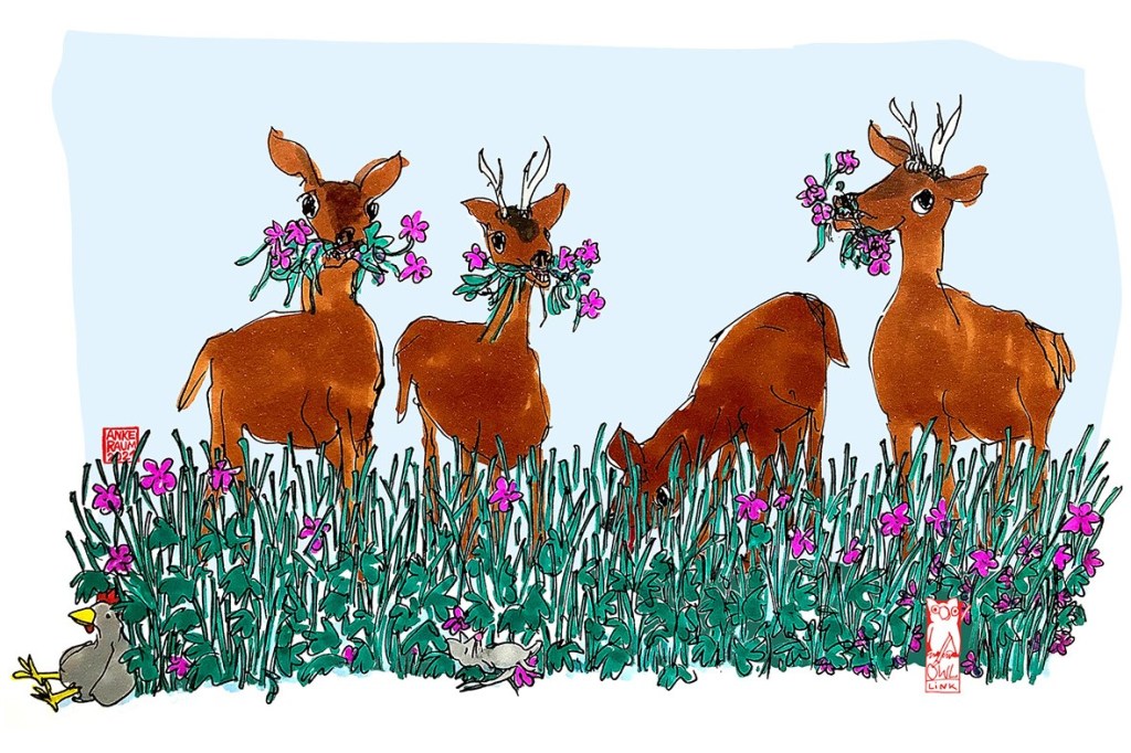 OSTWESTFÄLISCHER BILDERBOGEN: Frühstück im&nbsp;Garten