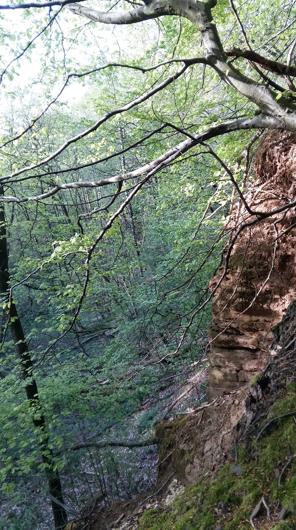 360° Video: Über Kahle Wart&nbsp;Bergab