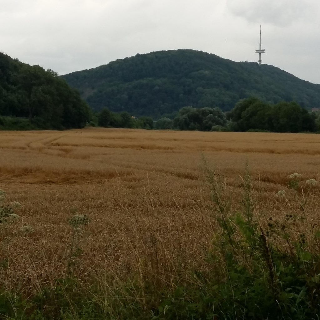 360° Video: Weserradweg