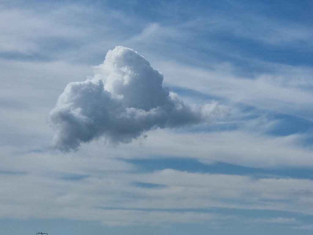 HÖRBUCH: SICKBOY FLIEGT