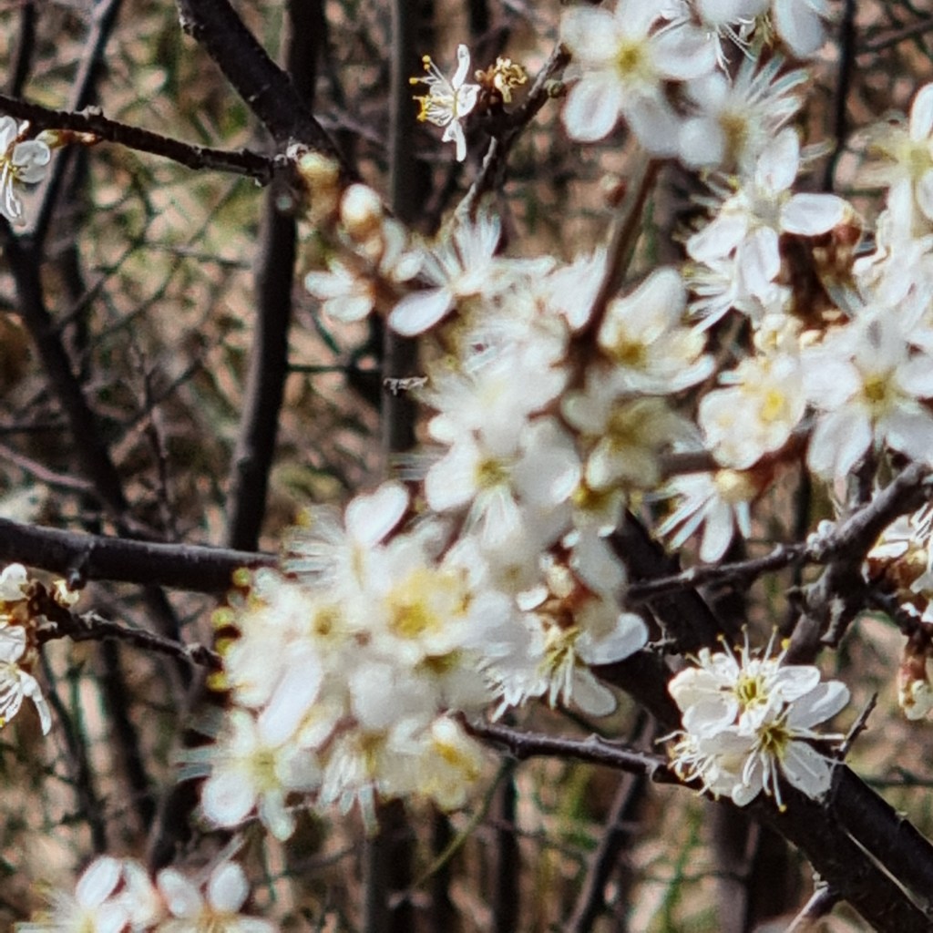 Auguri di buona Pasqua e buona Pasquetta&nbsp;2022