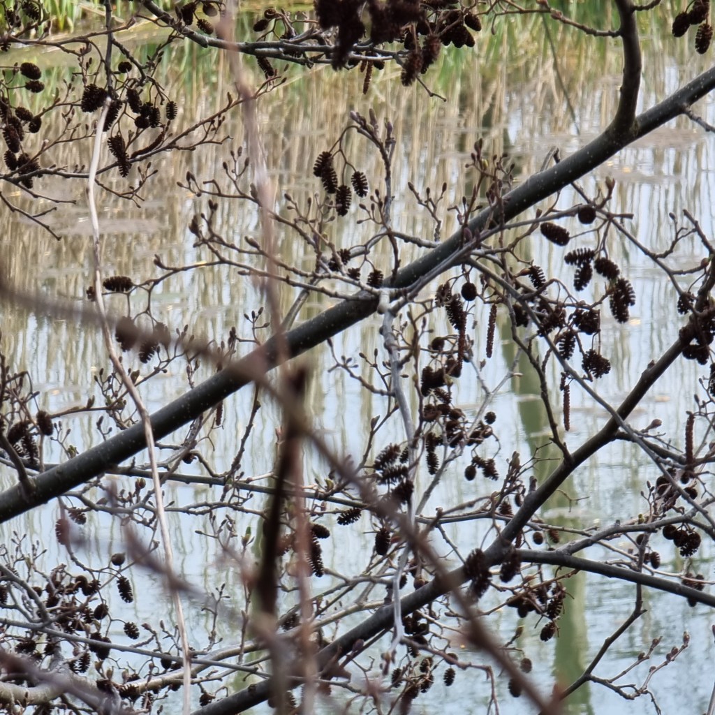 360° Video: Oderbruchspaziergang